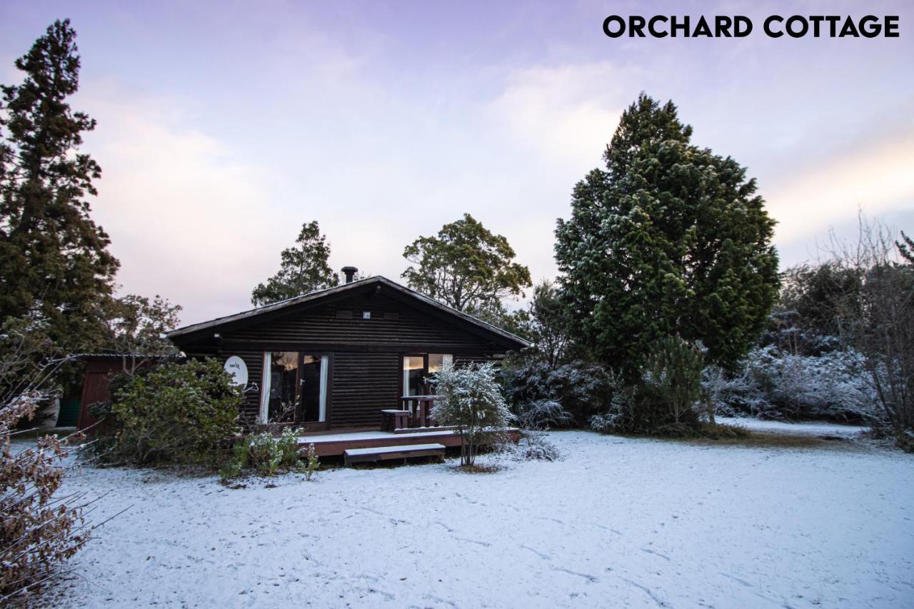 Jaya'S Place Hogsback Zewnętrze zdjęcie
