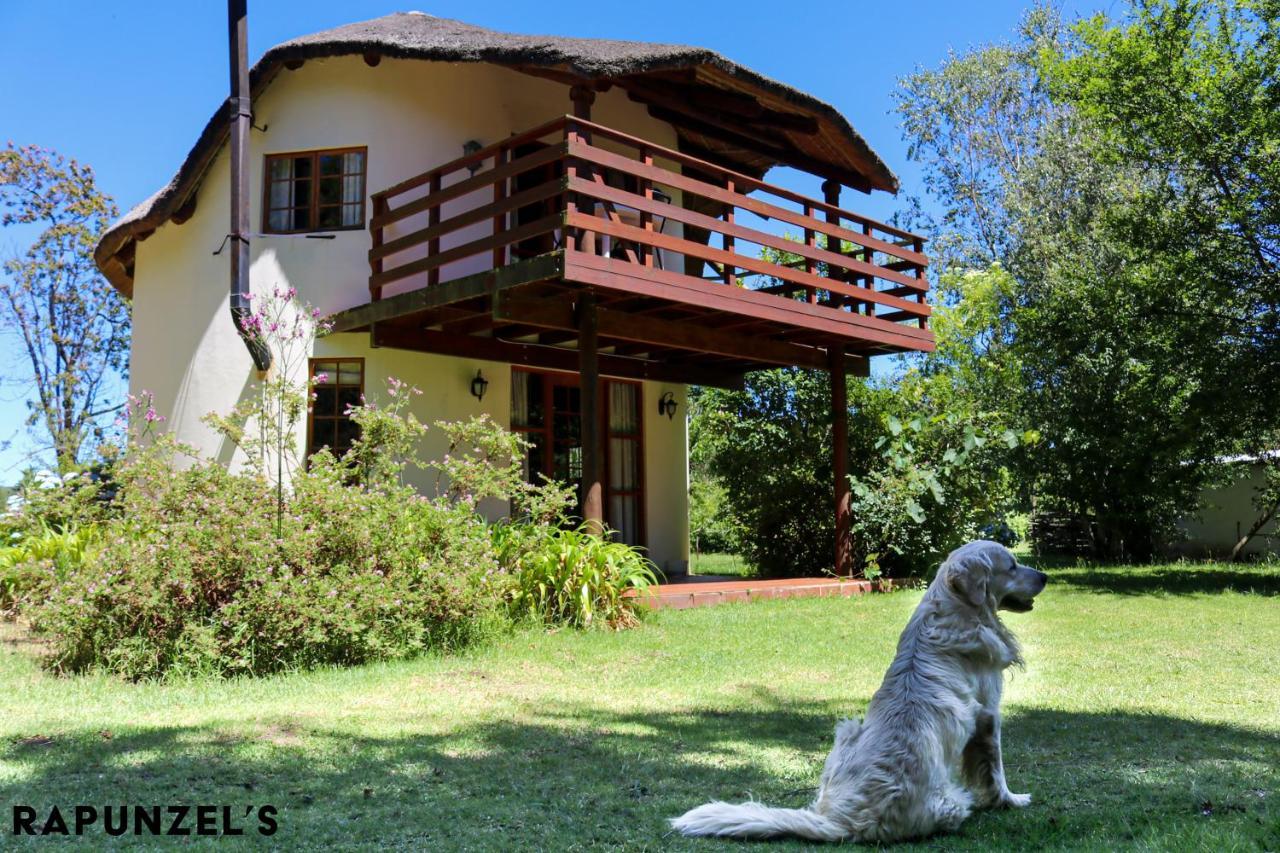 Jaya'S Place Hogsback Zewnętrze zdjęcie